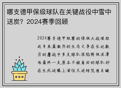 哪支德甲保级球队在关键战役中雪中送炭？2024赛季回顾